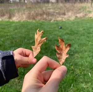 Meet your Posher, Tiantian